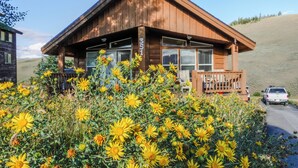 A wooden cabin with the number 351, surrounded by a garden of yellow flowers. - Ski Winter Park/ Granby Ranch-Hot Tub- Pets-Sled- Multi-Family House (Granby)