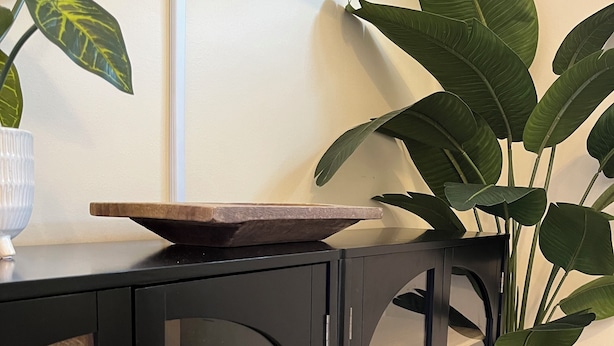 A black cabinet with glass doors, a wooden tray on top, and a potted plant beside it. - Palmy Jungalow, a Serene Studio, Mount Dora (Mount Dora)