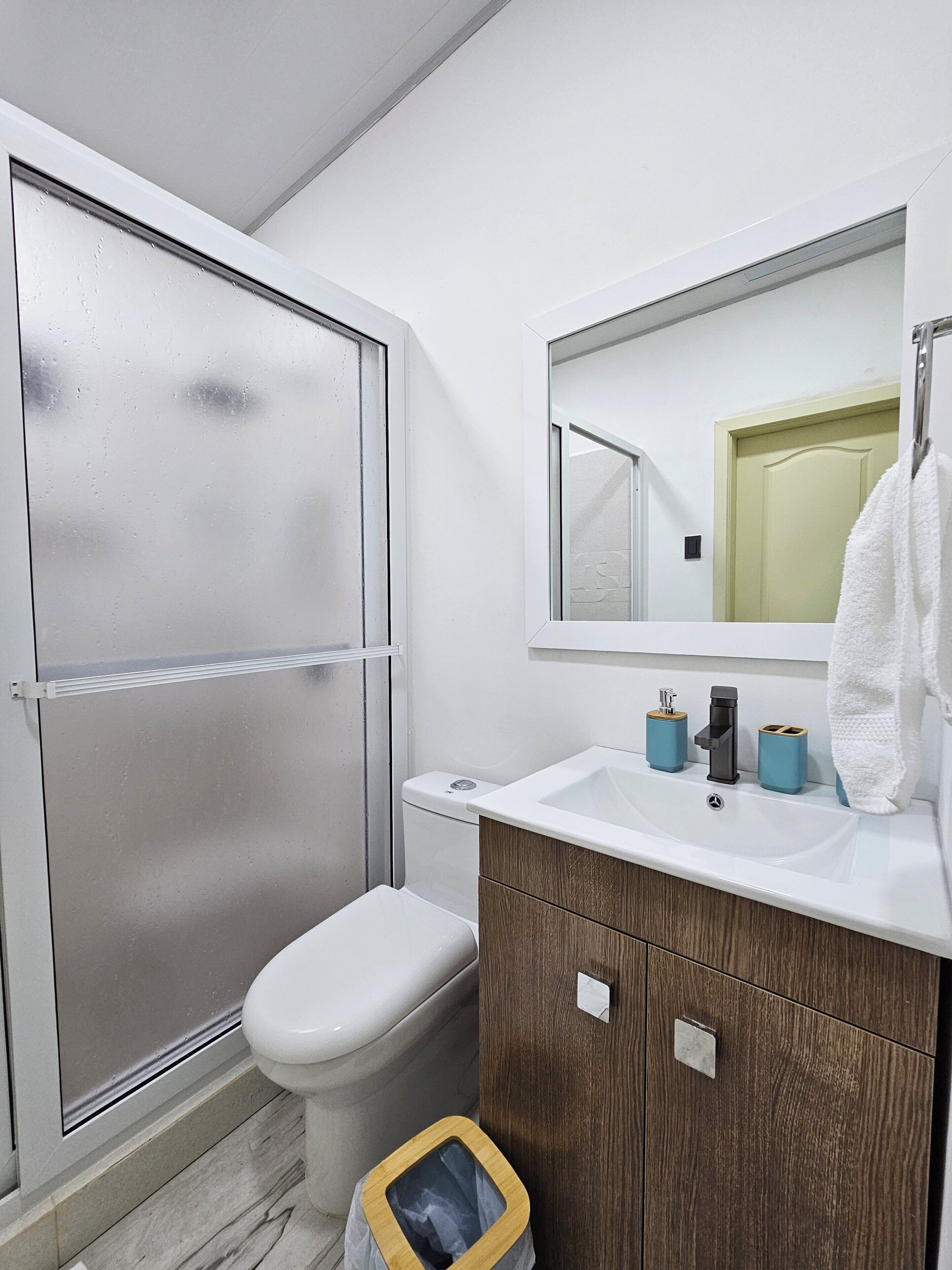 A bathroom with a shower, toilet, sink, and mirror.