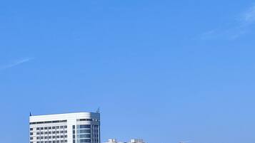 舒适单人房, 城市景观 | 客房景观