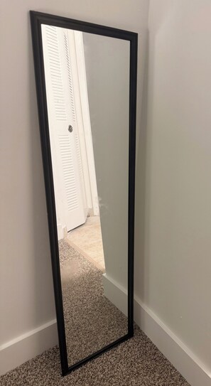 Un grand miroir étroit, doté d’un cadre noir, qui reflète une porte à panneaux ajourés et un plancher recouvert de moquette.