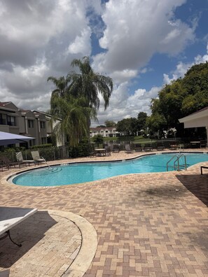 A swimming pool with a brick deck, lounge chairs, and a palm tree.