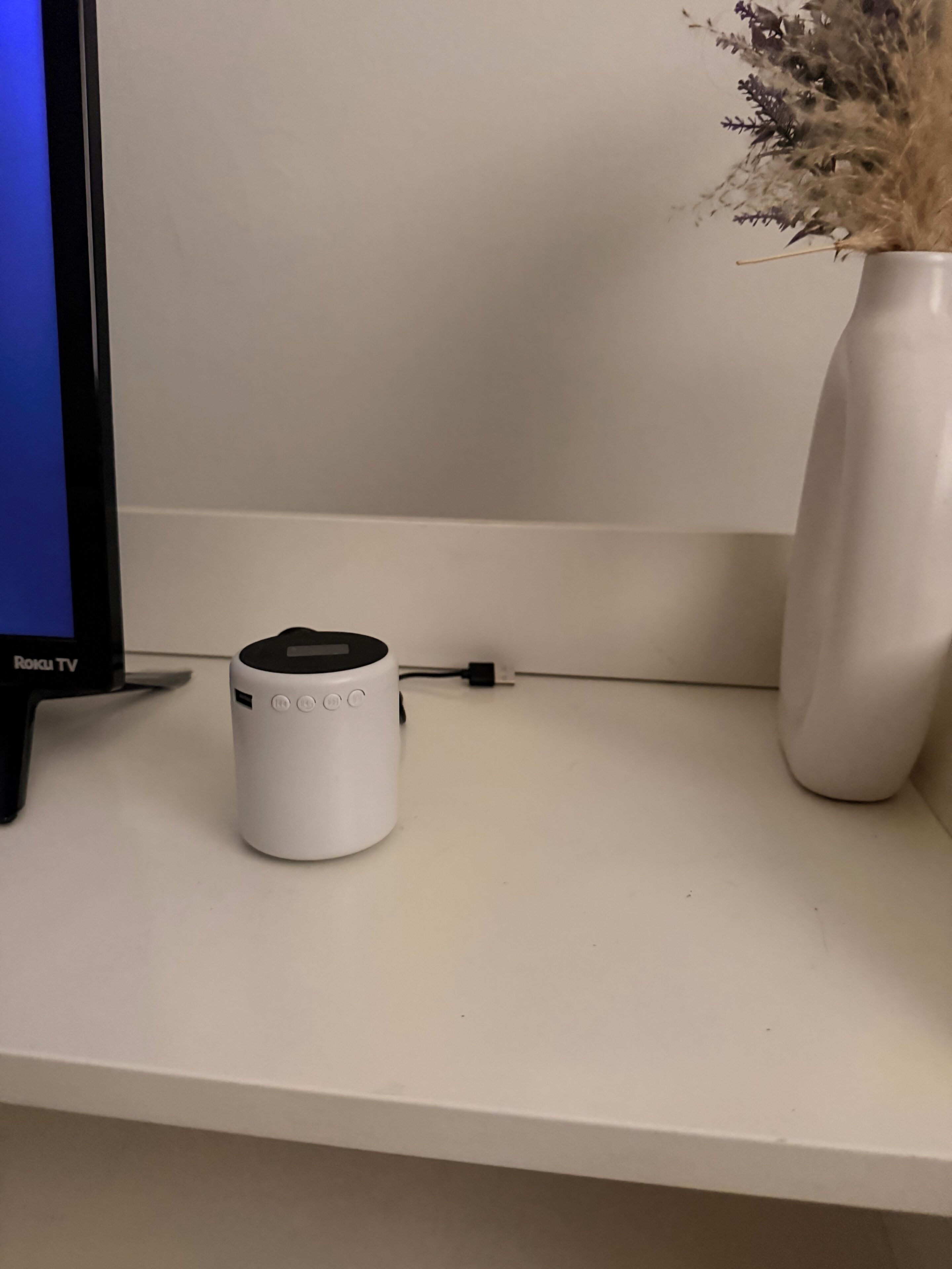 Un téléviseur Roku blanc posé sur une étagère blanche, un haut-parleur blanc et un vase contenant des plantes séchées.
