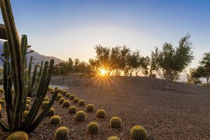 Property grounds - Posh Private Panoramic View Compound w/Pool & Spa (Palm Springs)
