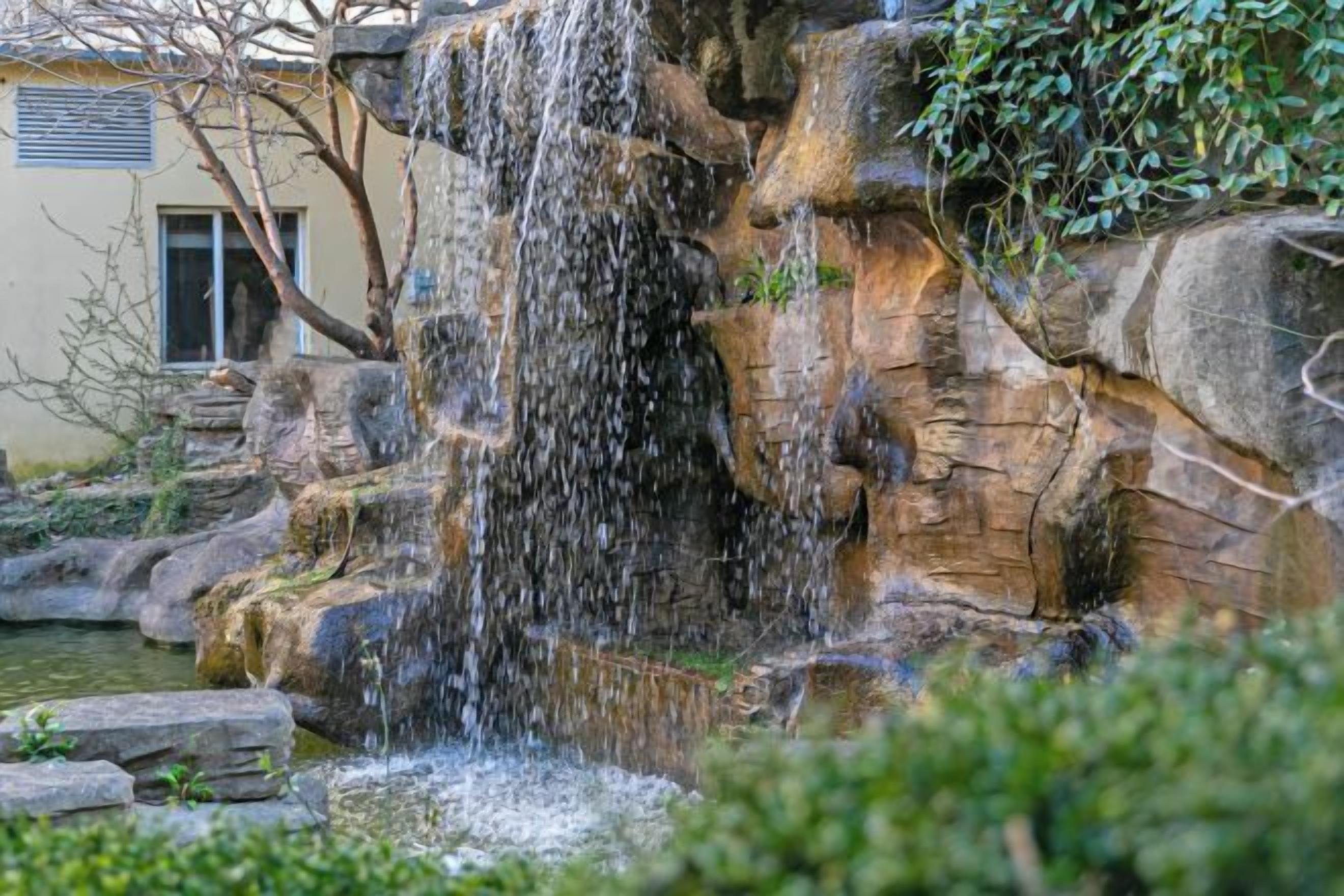 A waterfall cascading over a rocky cliff into a pond, surrounded by greenery.