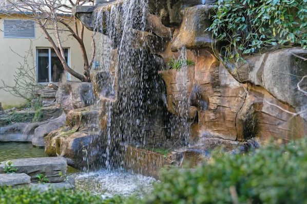 Une cascade d’eau se déversant sur une falaise rocheuse et se jetant dans un étang, le tout entouré de verdure.
