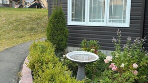 A residential house with a dark siding exterior, a white-framed window, a small garden with a birdbath, and a paved driveway. - Charming small studio in adorable St. John's WiFi access, 2 twin beds, full bath (St. John's)