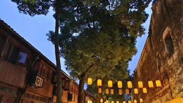 Una calle flanqueada por edificios tradicionales y árboles, con guirnaldas de luces colgando.
