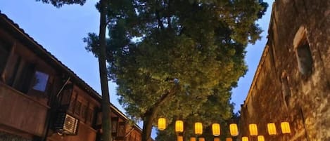 Una calle flanqueada por edificios tradicionales y árboles, con guirnaldas de luces colgando.