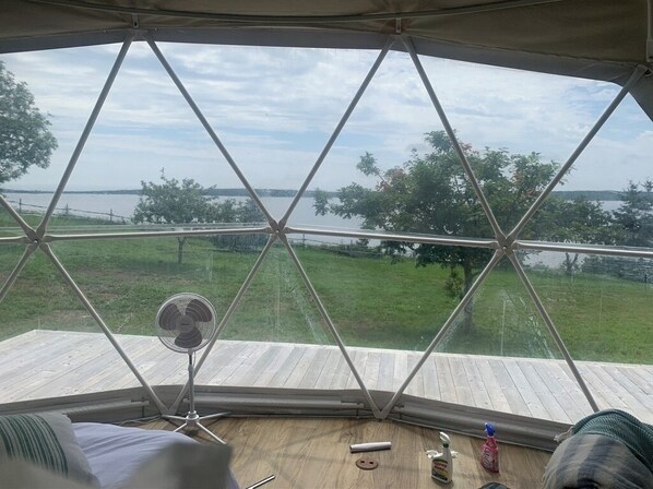 Enjoy a panoramic view of the natural landscape from this room's unique window design, featuring a sheltered outdoor space with a peaked roof.