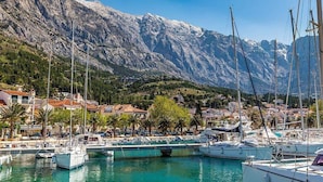 Ein Yachthafen mit vertäuten Booten, umgeben von Bergen und Wohnhäusern.