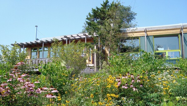 Stunning building with a glass facade, surrounded by a lush garden and lush greenery.