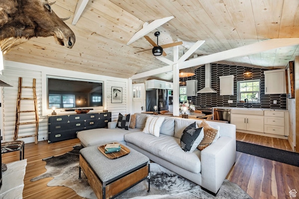 Televisión y chimenea