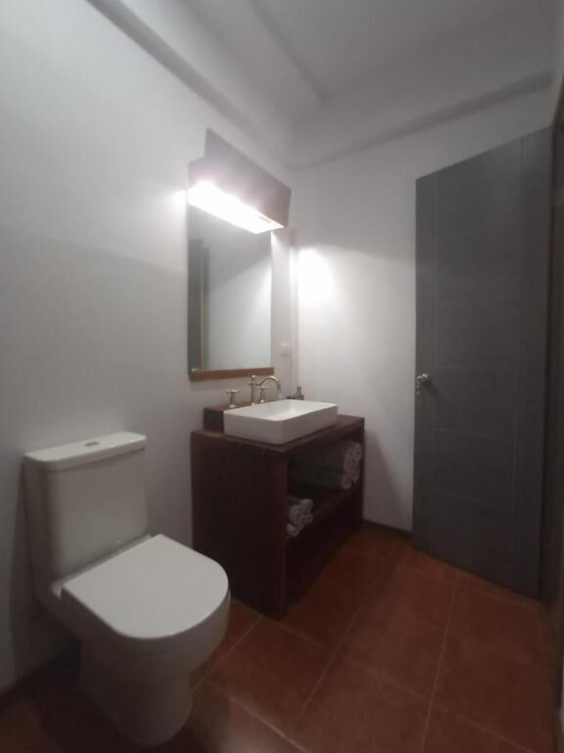 A bathroom with a toilet, sink, and mirror.