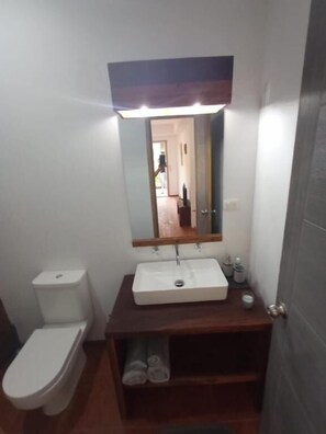 淋浴設備、免費盥洗用品、吹風機、毛巾