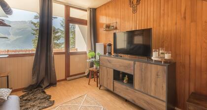 Les Plautus 1 - Appt 4p, station de ski à proximité