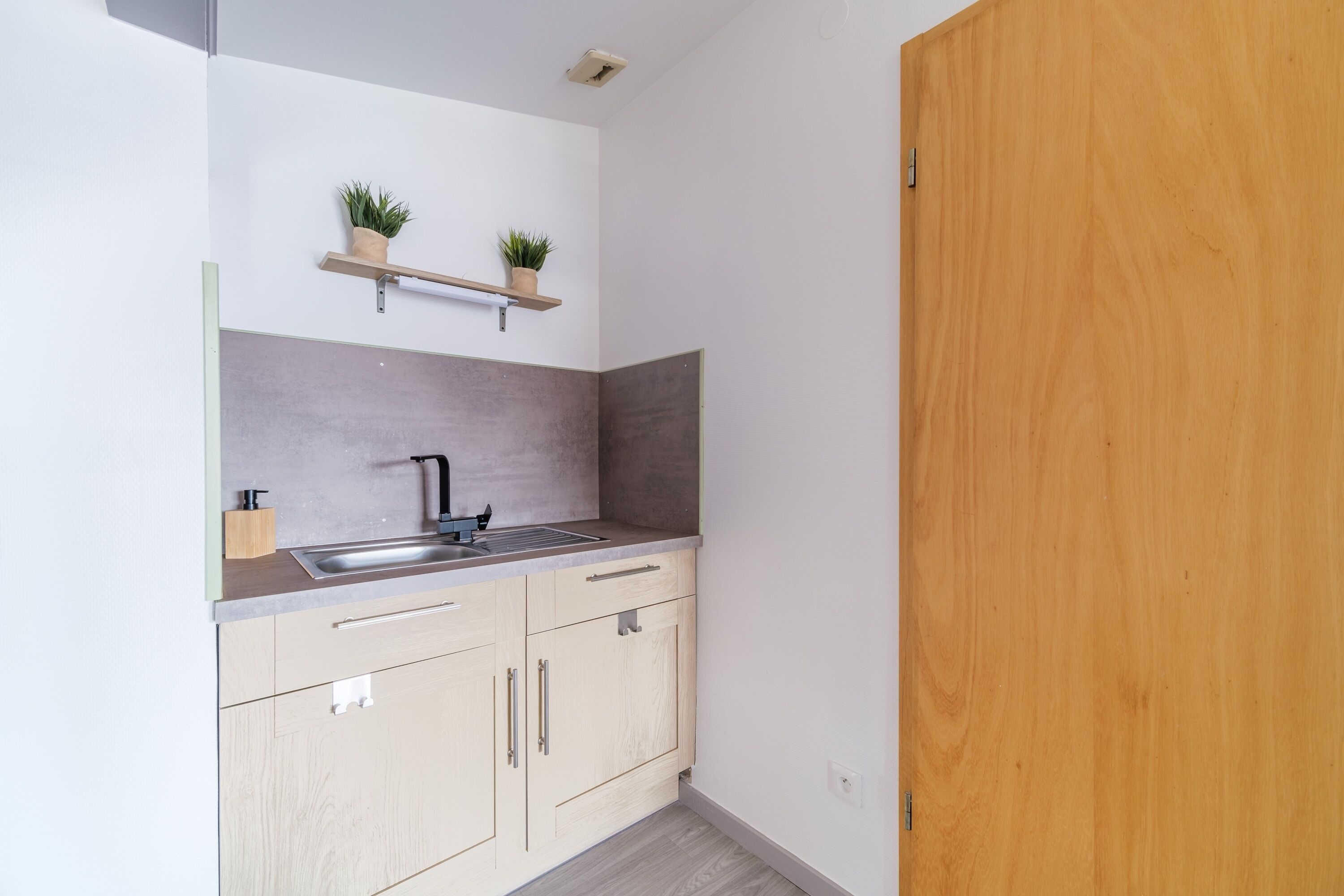 Una cucina moderna con lavello, pensili e due piante in vaso su uno scaffale.