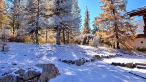 A snow-covered landscape with trees and a building.