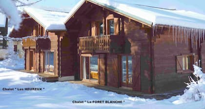 Casa-Forêt Blanche, splendide chalet