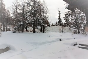 Property grounds - Casa-Forêt Blanche, splendide chalet (Risoul)