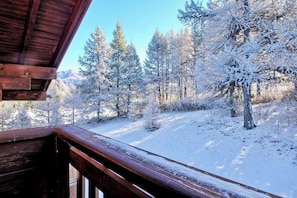 Property grounds - Casa-Forêt Blanche, splendide chalet (Risoul)