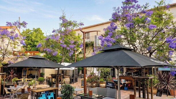 Un espace extérieur aménagé en terrasse, avec des tables et des chaises, des parasols et des arbres en fleurs aux teintes violettes.