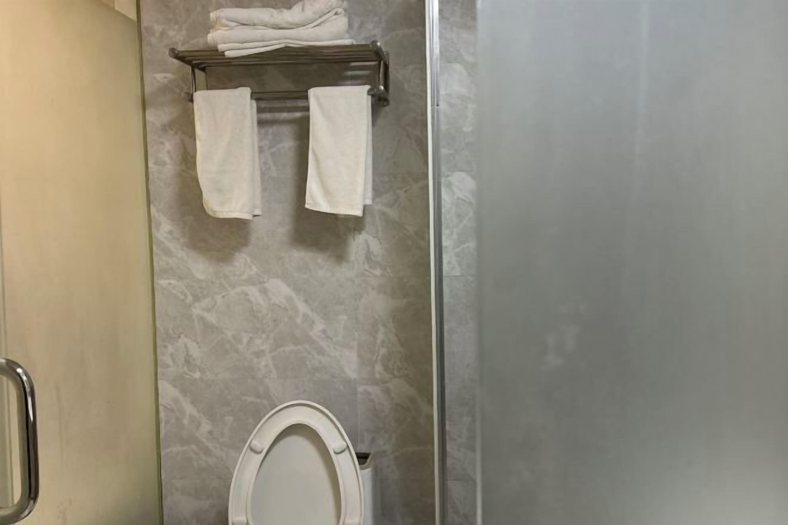 Casa de banho com sanita, um porta-toalhas com duas toalhas e uma parede de mármore.