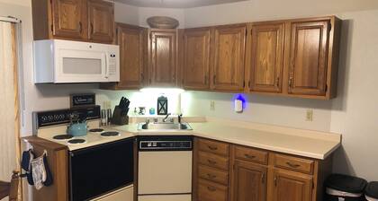 Cozy 3-br Oshkosh condo on Lake Winnebago canal. EAA, Lifest, XRoads,