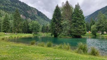 Een vredig meer, omringd door weelderige groene bomen en bergen.