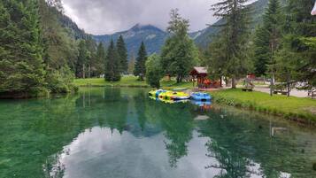 Un cadre paisible au bord d’un lac, avec une eau claire qui reflète la verdure et les montagnes environnantes.