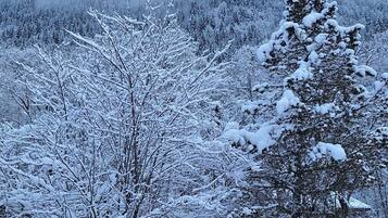 A snowy landscape with trees and a body of water.
