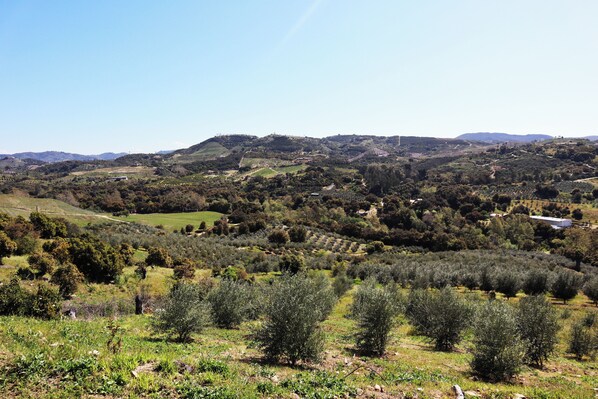 منوع