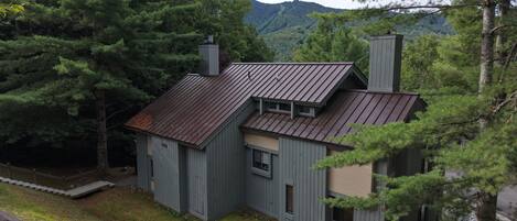 A rustic cabin with a metal roof, surrounded by dense forest and mountains in the background.