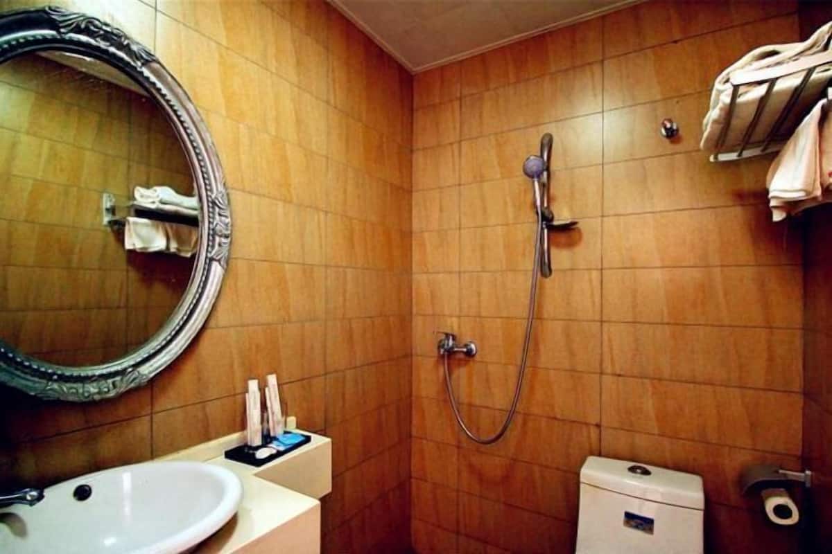 A bathroom with a sink, mirror, shower, and toilet.
