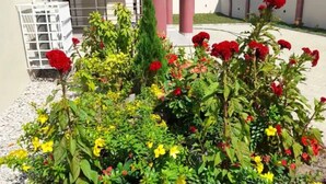 Ein Garten mit verschiedenen Blumen und Pflanzen vor einem Gebäude im modernen Stil und einem überdachten Bereich.