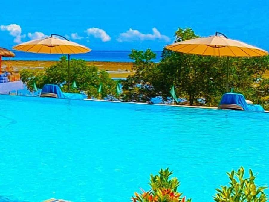 A swimming pool with lounge chairs and umbrellas, surrounded by greenery and a beach view.