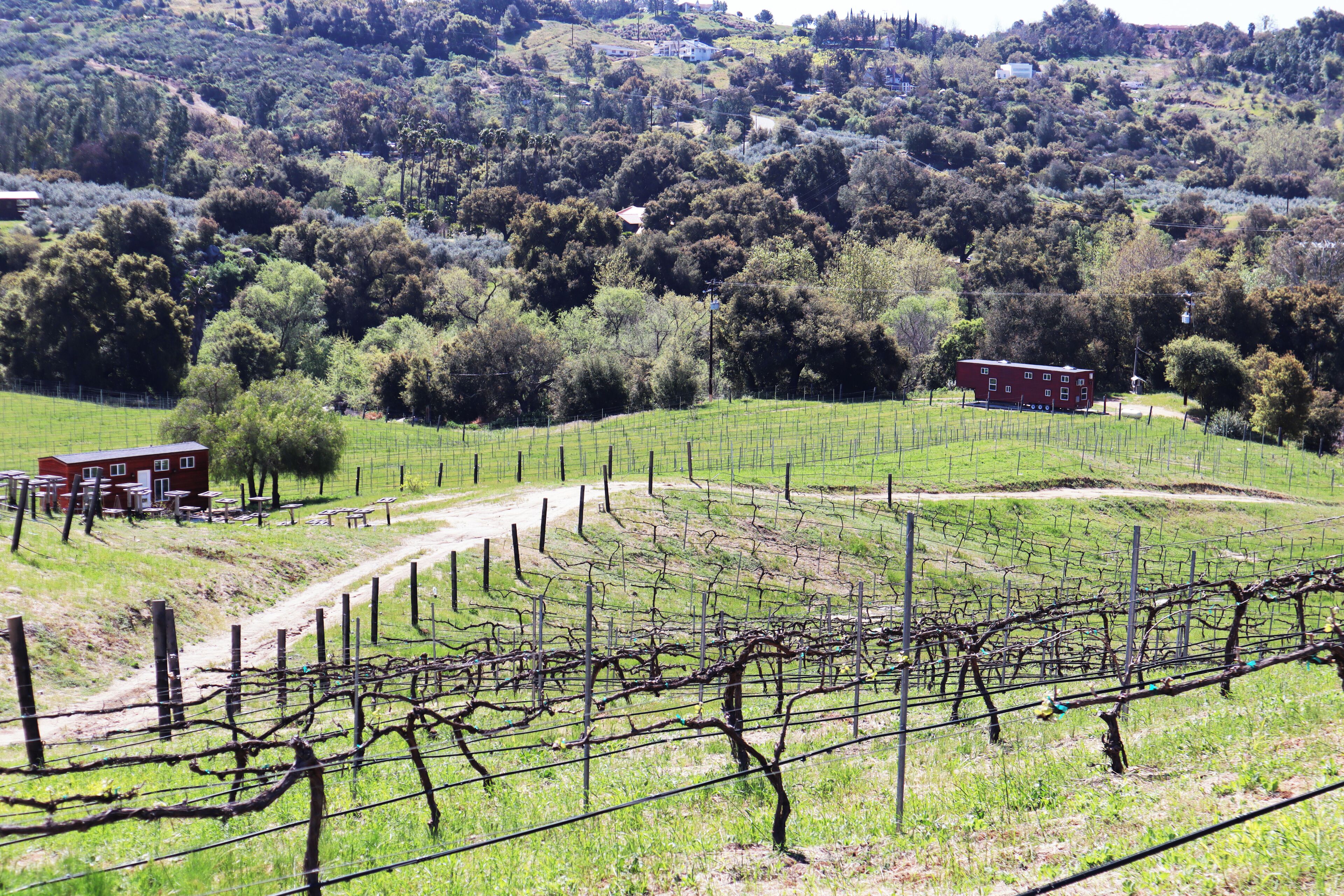 Stunning views of grape vinyards, olive, avocado, and tangerine groves
