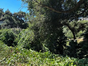 Hair dryer, towels, soap, shampoo - Pitaya Cabin @ Vinyard Winery, 6 Adults, 2 Kids, Wifi, AC, Fallbrook (Fallbrook)