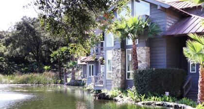 Pitaya Cabin @ Vinyard Winery, 6 Adults, 2 Kids, Wifi, AC, Fallbrook