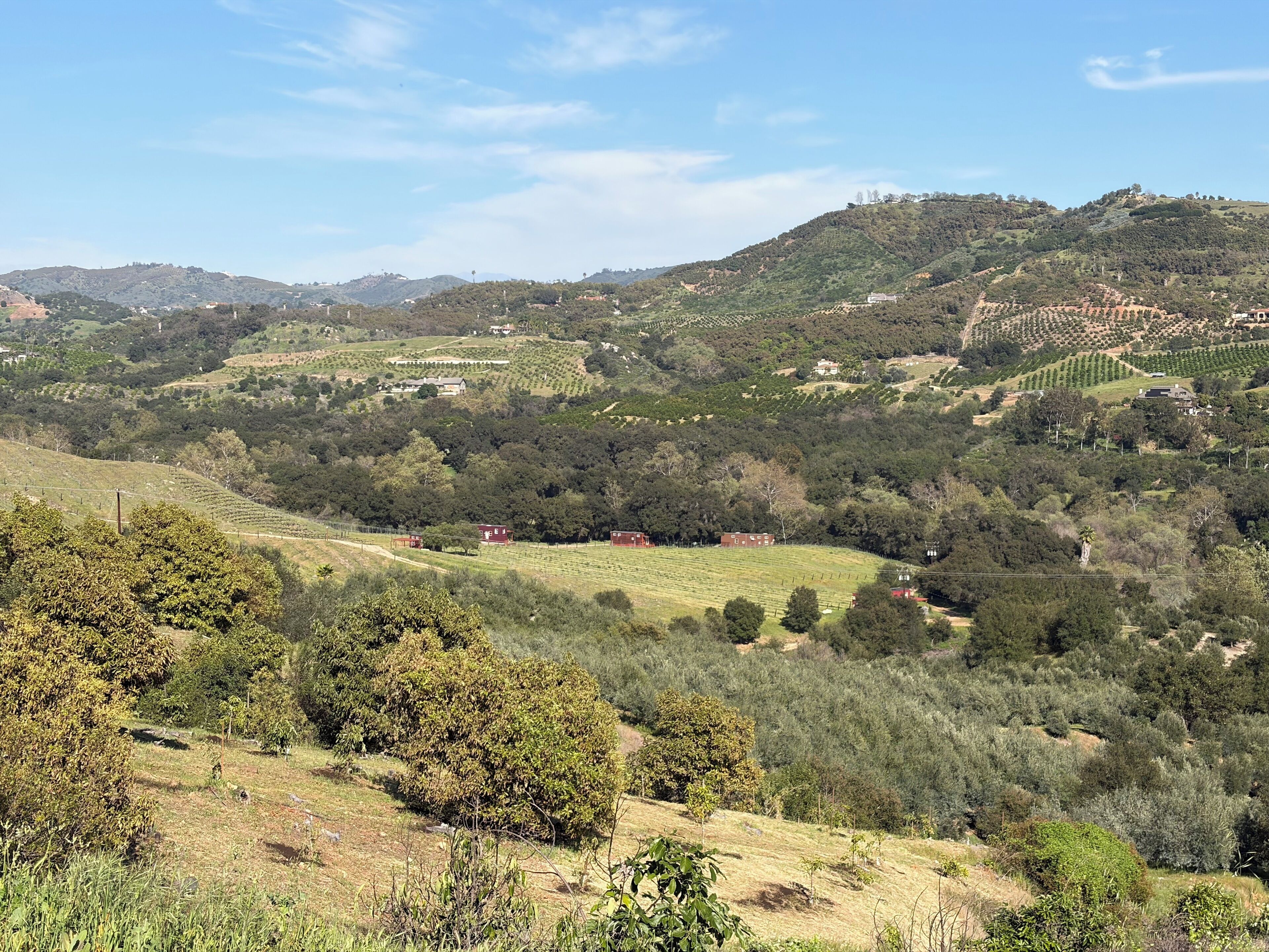 Paisaje rural con colinas ondulantes, árboles dispersos y algunas edificaciones.