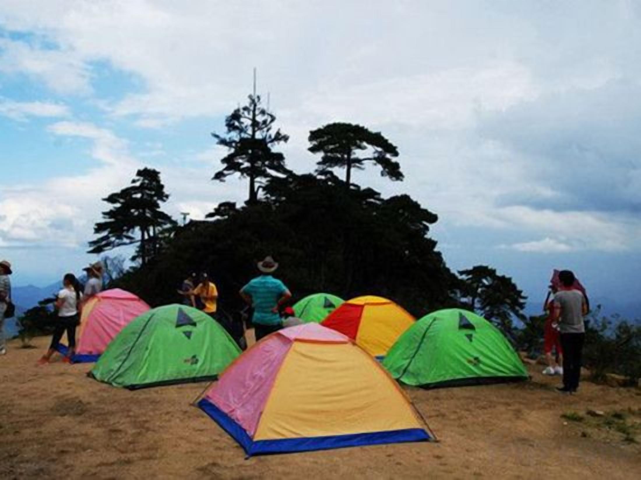 A group of colorful tents set up on a dirt ground with trees in the background.