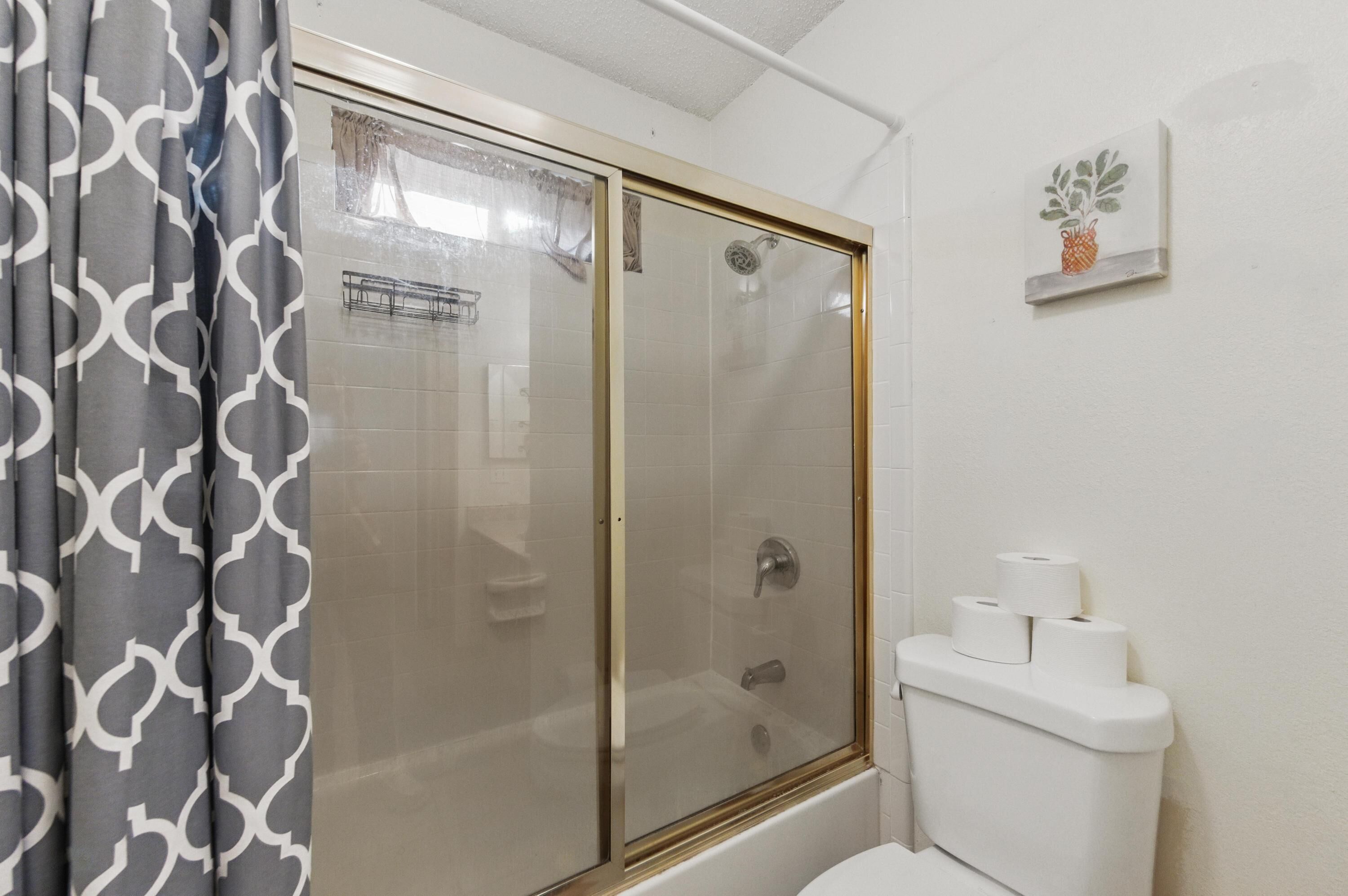 A bathroom with a shower enclosure, toilet, and a small shelf with a potted plant.