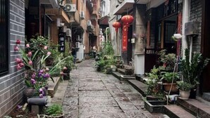 Un estrecho callejón con macetas y flores a lo largo del camino, flanqueado por edificios de arquitectura tradicional y unidades de aire acondicionado visibles.