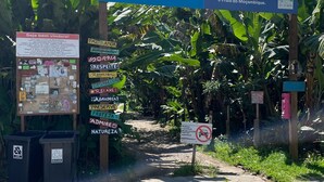 A pathway leading to a park entrance with signs promoting environmental values and a no-parking sign. - Moçamba LODGE Contêiner (Florianópolis)