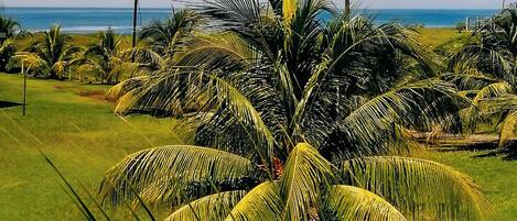 Voorkant van accommodatie