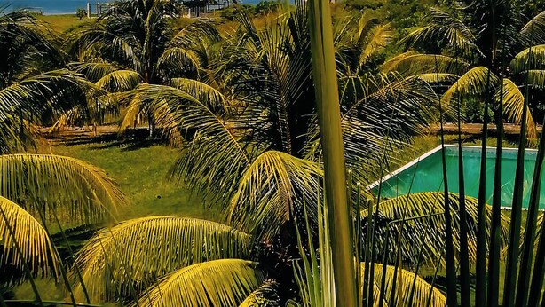 Tropisch landschap met een zwembad, palmbomen en uitzicht op de oceaan.