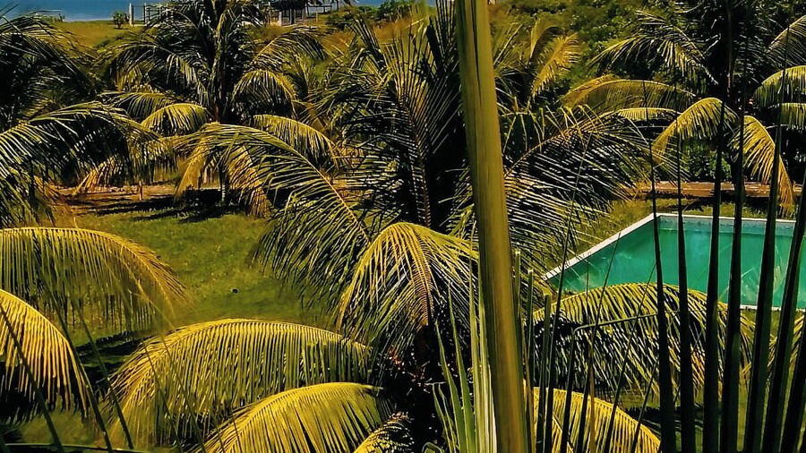 Kilómetro 158 Hawai Monterrico