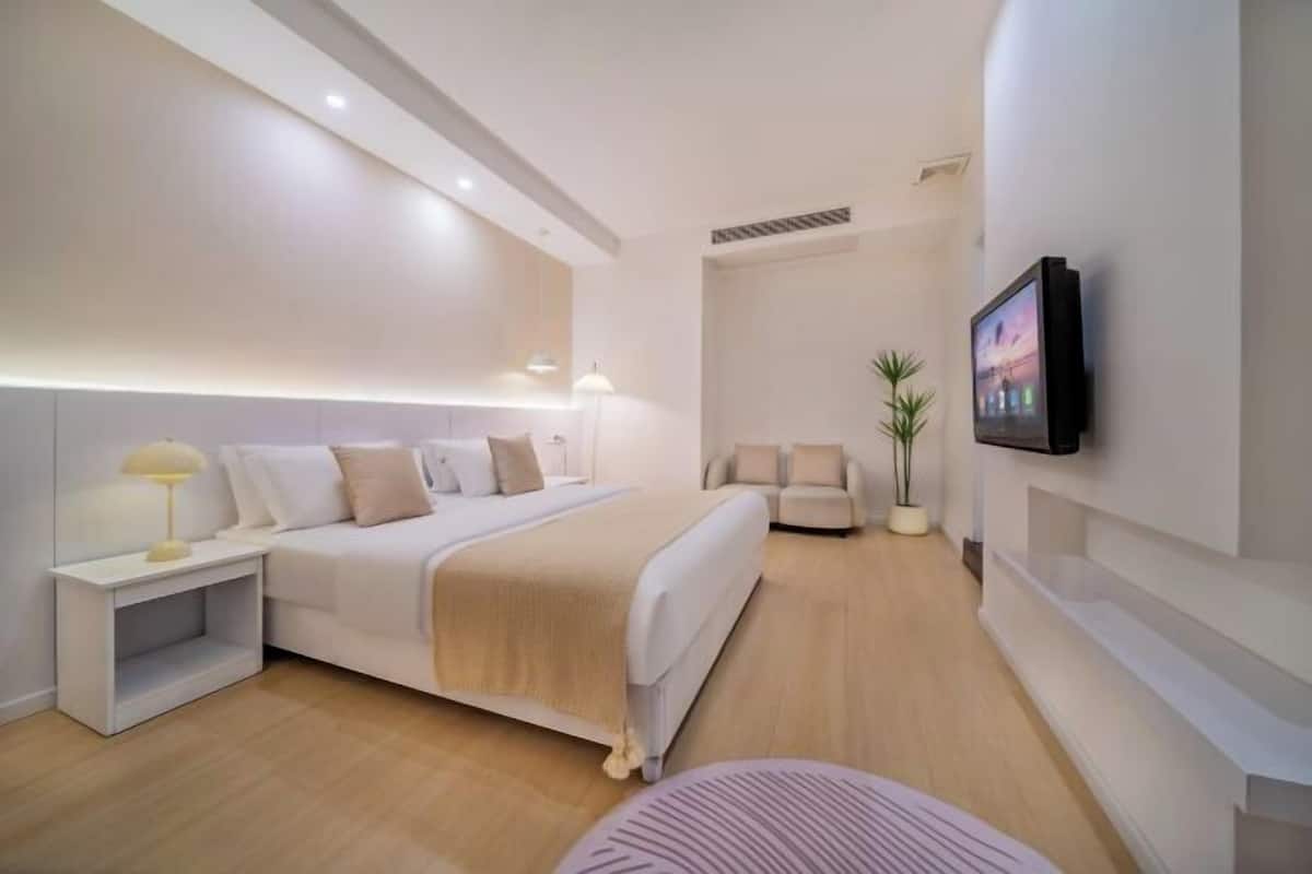 A modern bedroom with a bed, bedside table, lamp, TV, and a small seating area with a chair and plant.