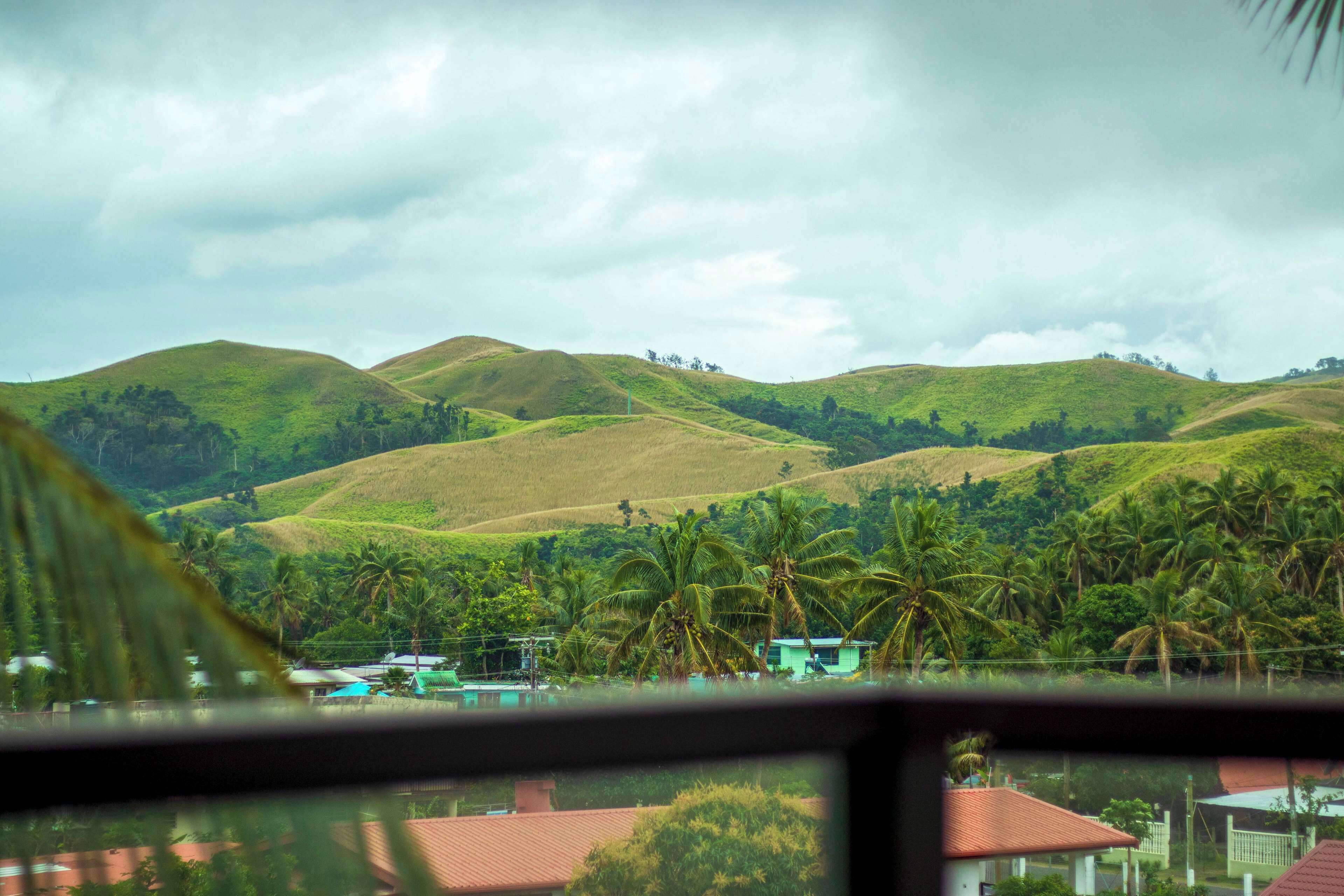 A view of green hills with palm trees and a few buildings in the foreground.