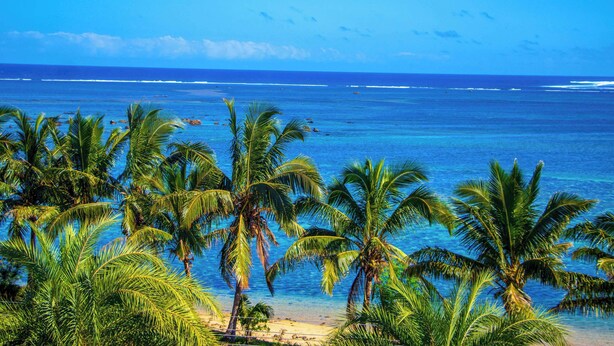 A beach with palm trees and the ocean. - Ramada Suites By Wyndham Seafront Coral Coast (Korotogo)